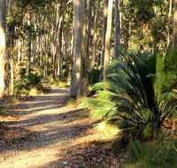 Square Head track 2 - Accommodation ACT