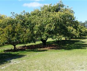 The Avocado Farm - Accommodation ACT 1