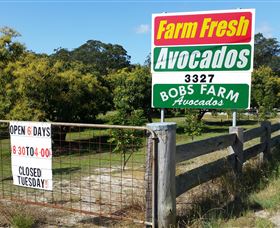 The Avocado Farm - Accommodation ACT 3