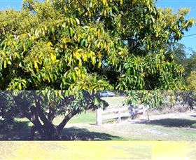 The Avocado Farm - Accommodation ACT 2