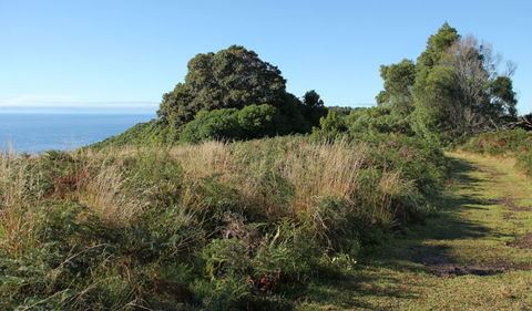 Pretty Beach To Durras Mountain Walking Track - Accommodation ACT 2