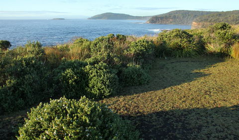 Pretty Beach To Durras Mountain Walking Track - Accommodation ACT 3