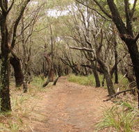 Pretty Beach to Snapper Point walking track - Accommodation ACT