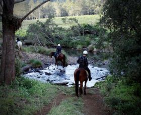 Numinbah Valley Adventure Trails - Accommodation ACT 3