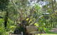 Mondrook Garden Cafe Gallery And Function Centre - thumb 0