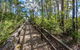 Flat Rock Lookout - thumb 2