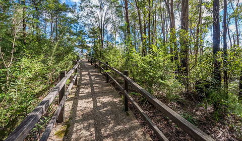 Flat Rock Lookout - Accommodation ACT 2