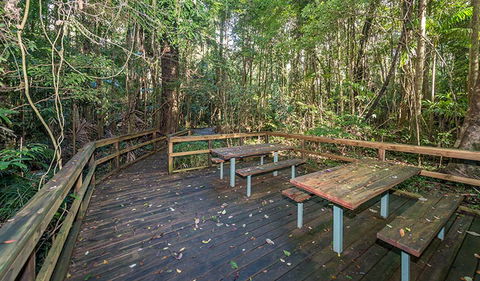 Starrs Creek Picnic Area - Accommodation ACT 1