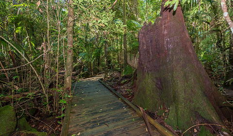 Starrs Creek Picnic Area - Accommodation ACT 2