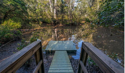 Brimbin Picnic Area - Accommodation ACT 1