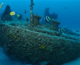 Curtain Artificial Reef Dive Site - Accommodation ACT 1