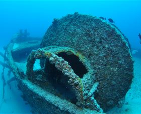 Curtain Artificial Reef Dive Site - Accommodation ACT 3
