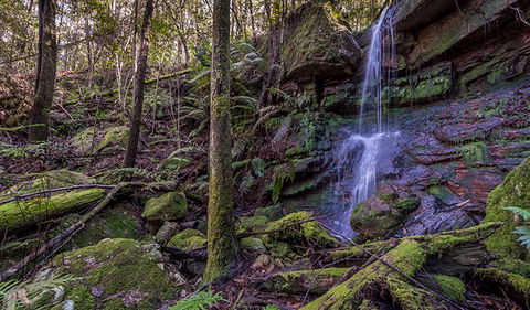 Coorabakh National Park - Accommodation ACT 0