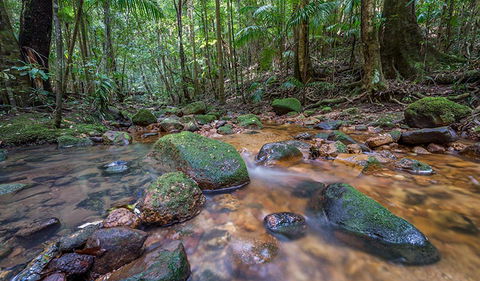 Coorabakh National Park - Accommodation ACT 1
