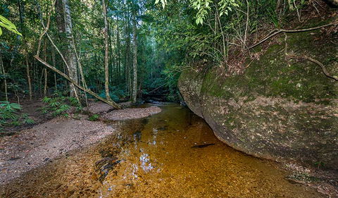 Coorabakh National Park - Accommodation ACT 2