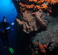 Gotham City Dive Site - Accommodation ACT