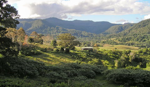 Mount Nardi Picnic Area - Accommodation ACT 0