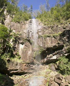The Channon NSW Accommodation ACT