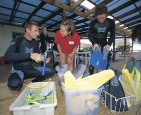 Dolphin Discovery Centre - Accommodation ACT 1