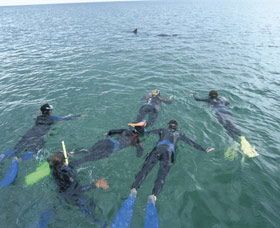 Dolphin Discovery Centre - Accommodation ACT 2