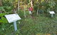 Coramba Nature Reserve - thumb 0