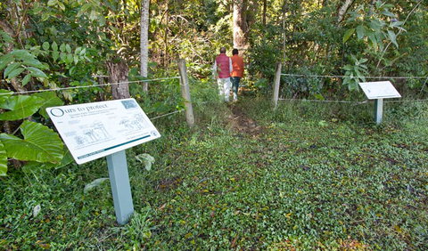 Coramba Nature Reserve - Accommodation ACT 0