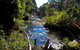 Coramba Nature Reserve - thumb 1