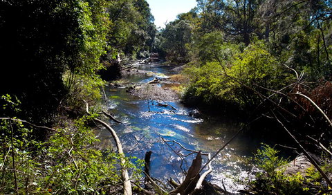 Coramba Nature Reserve - Accommodation ACT 1