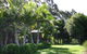 Lorne Valley Macadamia Farm - thumb 0