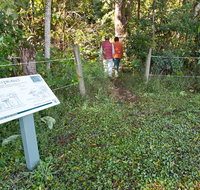 Rainforest walk - Accommodation ACT