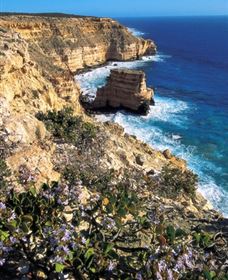 Coastal Cliffs - Accommodation ACT 2