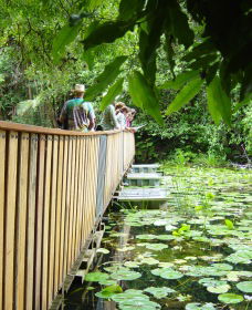 Koonorigan NSW Accommodation ACT