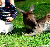 Bunbury Wildlife Park - Accommodation ACT