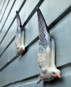 Kingstudio Gallery - Accommodation ACT 5