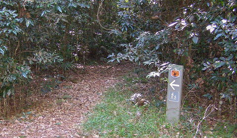 Big Scrub Loop Walking Track - Accommodation ACT 2