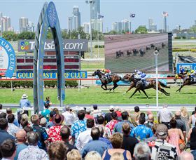 Gold Coast Turf Club - Accommodation ACT 0