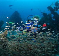 Aarhus Dive Site - Accommodation ACT