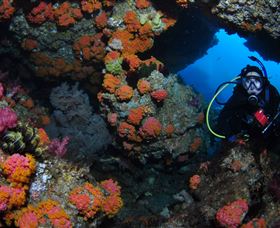 Cherubs Cave Dive Site - Accommodation ACT 2