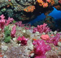 Cherubs Cave Dive Site - Accommodation ACT