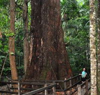 Bird Tree and Benaroon - Accommodation ACT