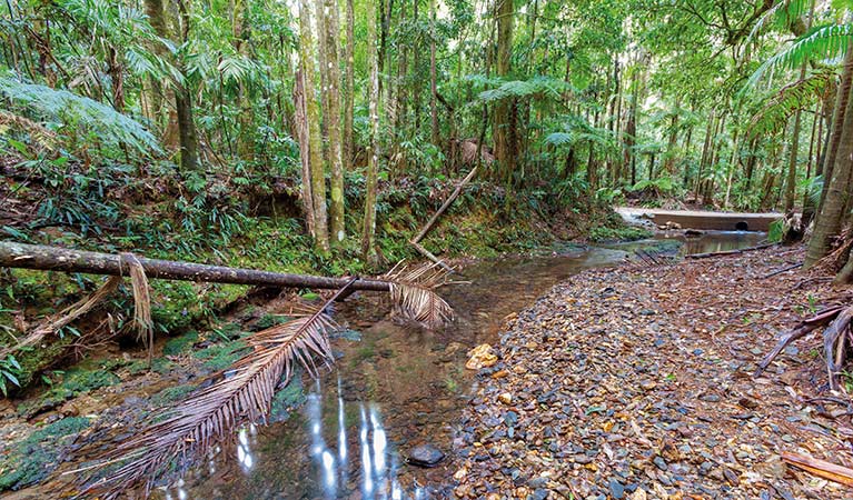 Karangi NSW Accommodation ACT