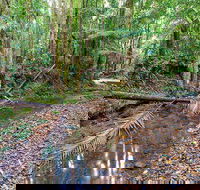 Ulidarra National Park - Accommodation ACT