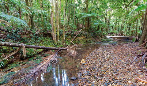 Ulidarra National Park - Accommodation ACT 0