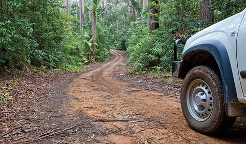 Ulidarra National Park - Accommodation ACT 2