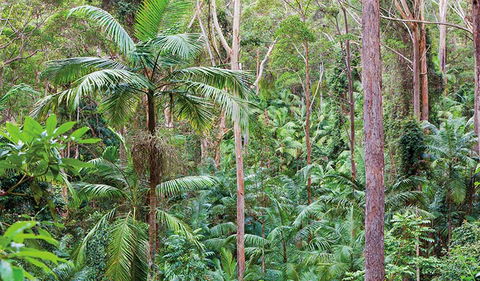 Ulidarra National Park - Accommodation ACT 3