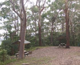 Orara East State Forest - Accommodation ACT 2