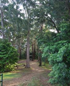 Orara East State Forest - Accommodation ACT 1