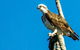Saltwater National Park - thumb 1