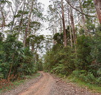 End Peak walking track - Accommodation ACT