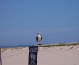 Manning Entrance State Park - Accommodation ACT 1